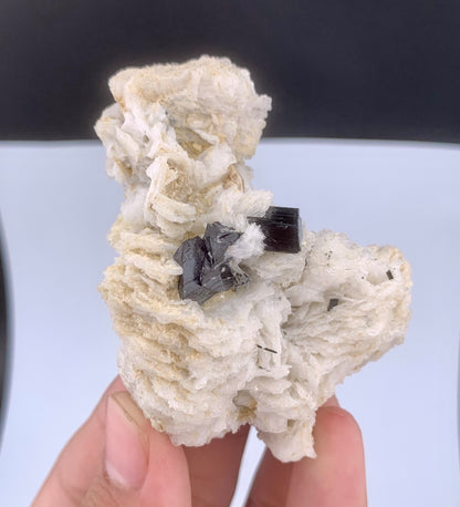 Rare Black Cassiterite Crystal With Tourmaline on Albite From Skardu Pakistan - 99 Grams