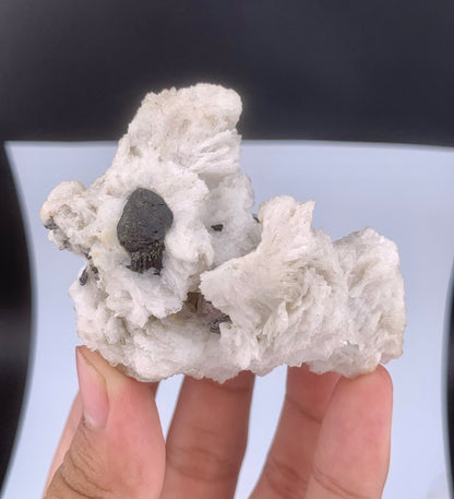 Rare Black Cassiterite Crystal With Tourmaline on Albite From Skardu Pakistan - 99 Grams
