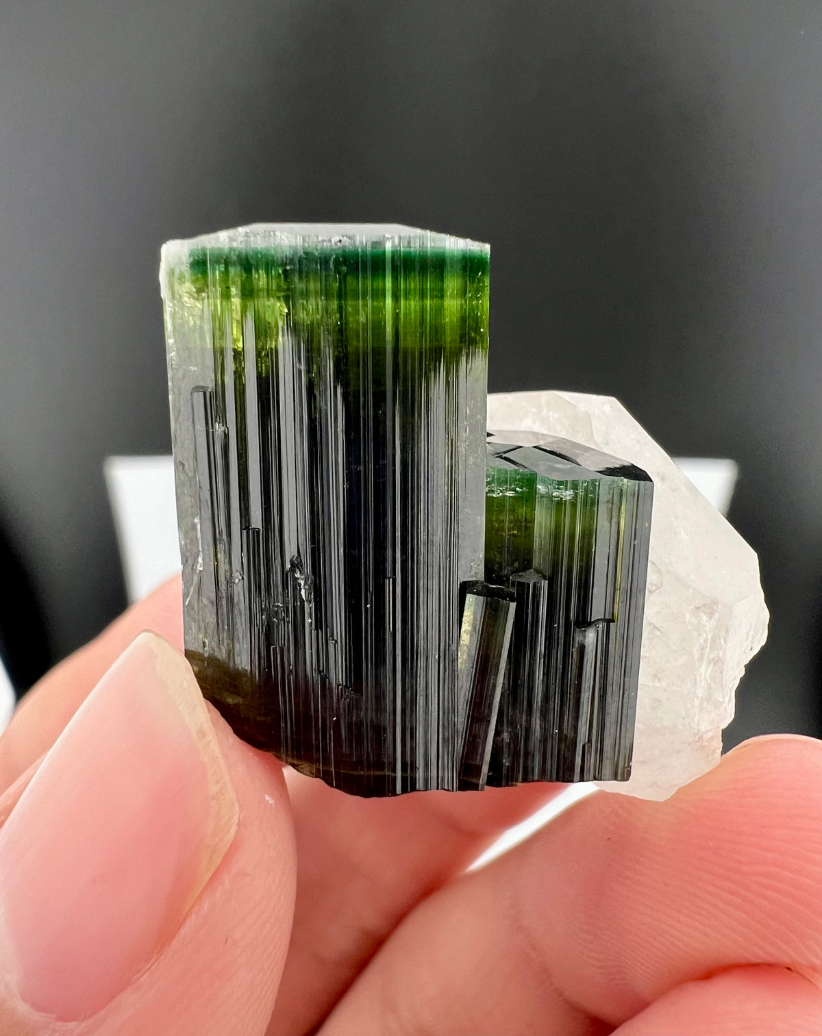 Green Cap Tourmaline Crystal with Quartz from Pakistan - 17 Grams