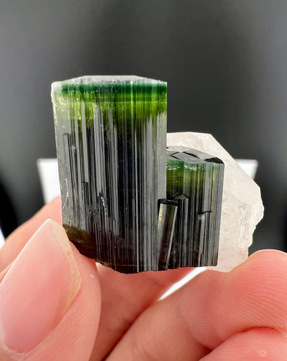 Green Cap Tourmaline Crystal with Quartz from Pakistan - 17 Grams