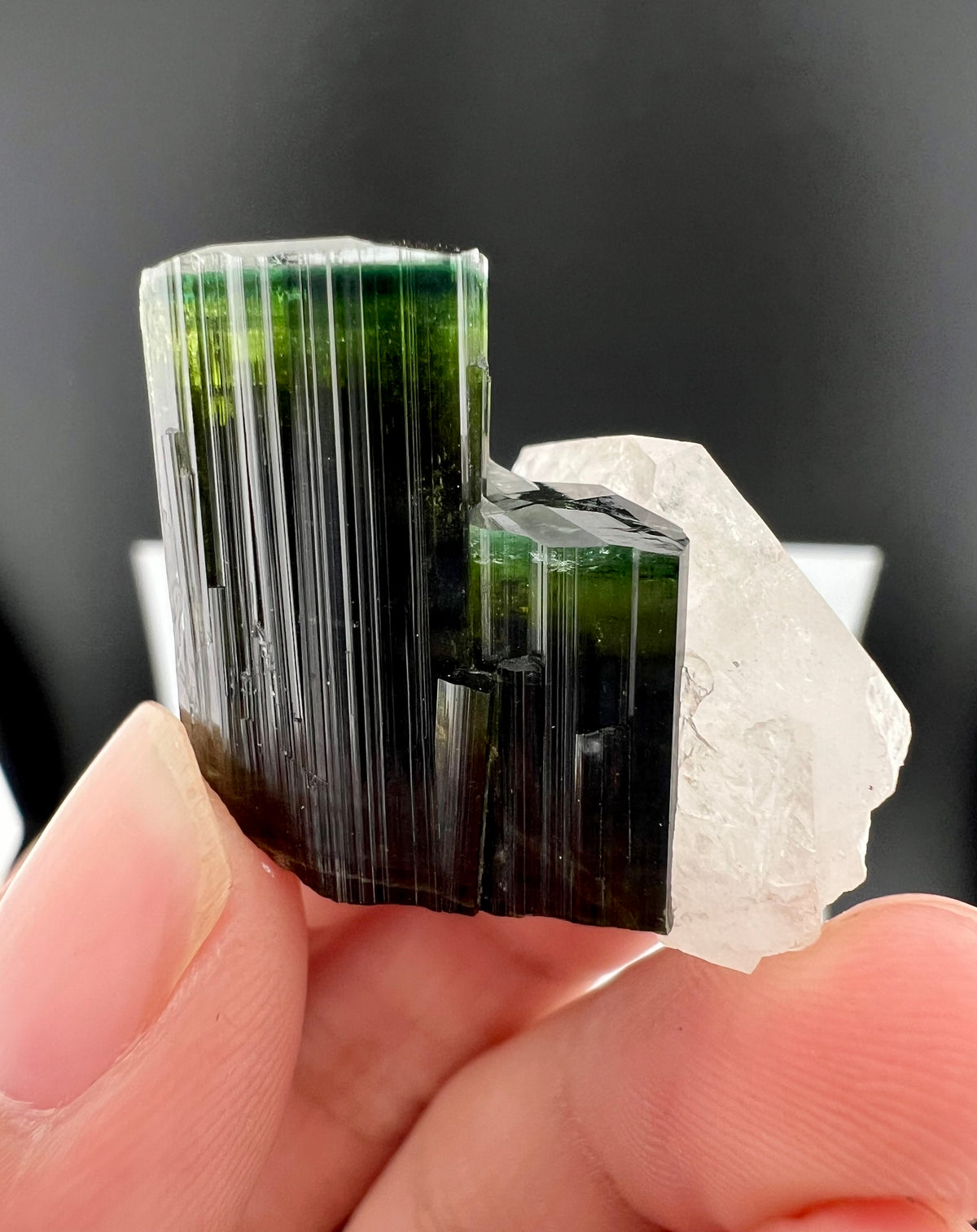 Green Cap Tourmaline Crystal with Quartz from Pakistan - 17 Grams