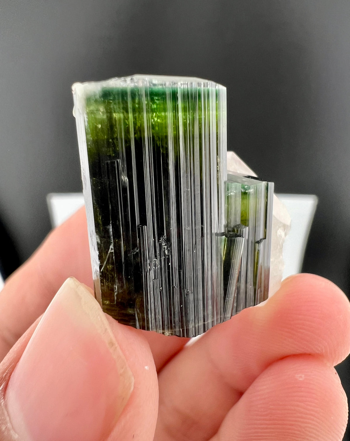 Green Cap Tourmaline Crystal with Quartz from Pakistan - 17 Grams