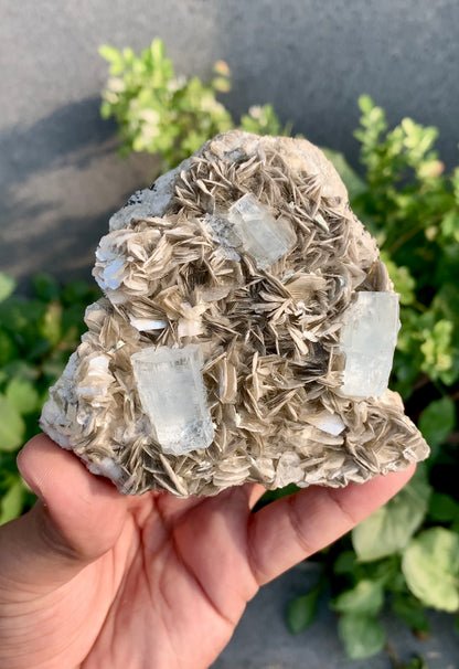 Aquamarine Crystals With Mica on Matrix From Pakistan - 375 Grams