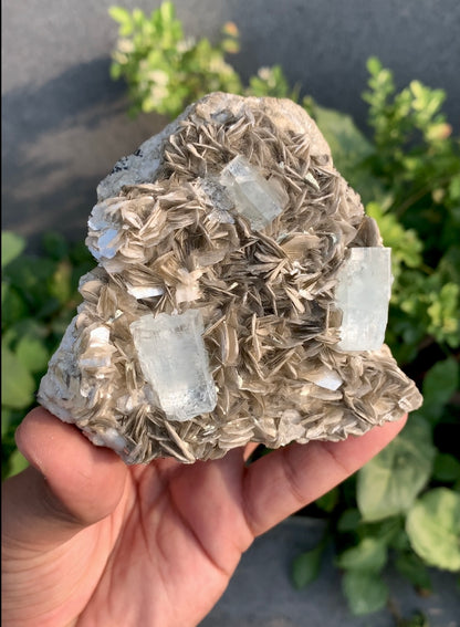 Aquamarine Crystals With Mica on Matrix From Pakistan - 375 Grams