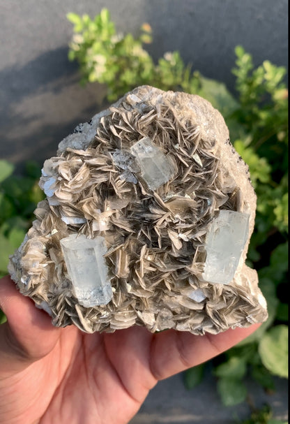 Aquamarine Crystals With Mica on Matrix From Pakistan - 375 Grams
