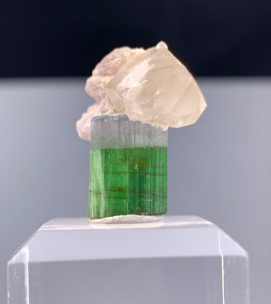 Bi-color Tourmaline Crystal With Quartz And Leapodolite from Afghanistan – 25.80 Carats