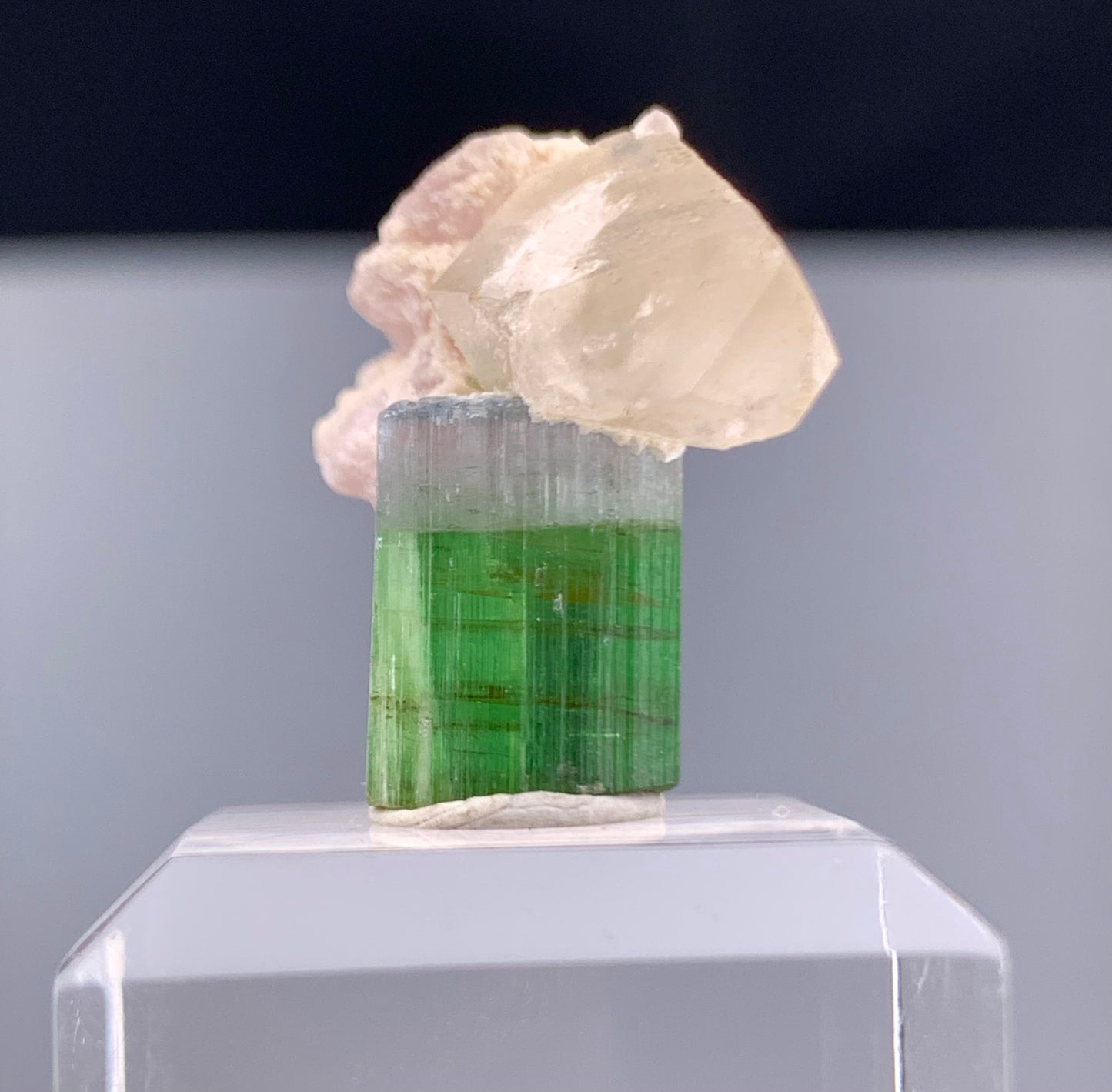 Bi-color Tourmaline Crystal With Quartz And Leapodolite from Afghanistan – 25.80 Carats