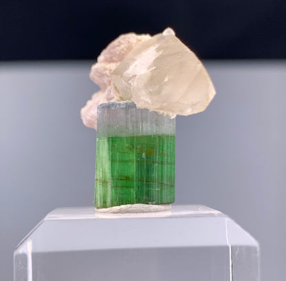 Bi-color Tourmaline Crystal With Quartz And Leapodolite from Afghanistan – 25.80 Carats