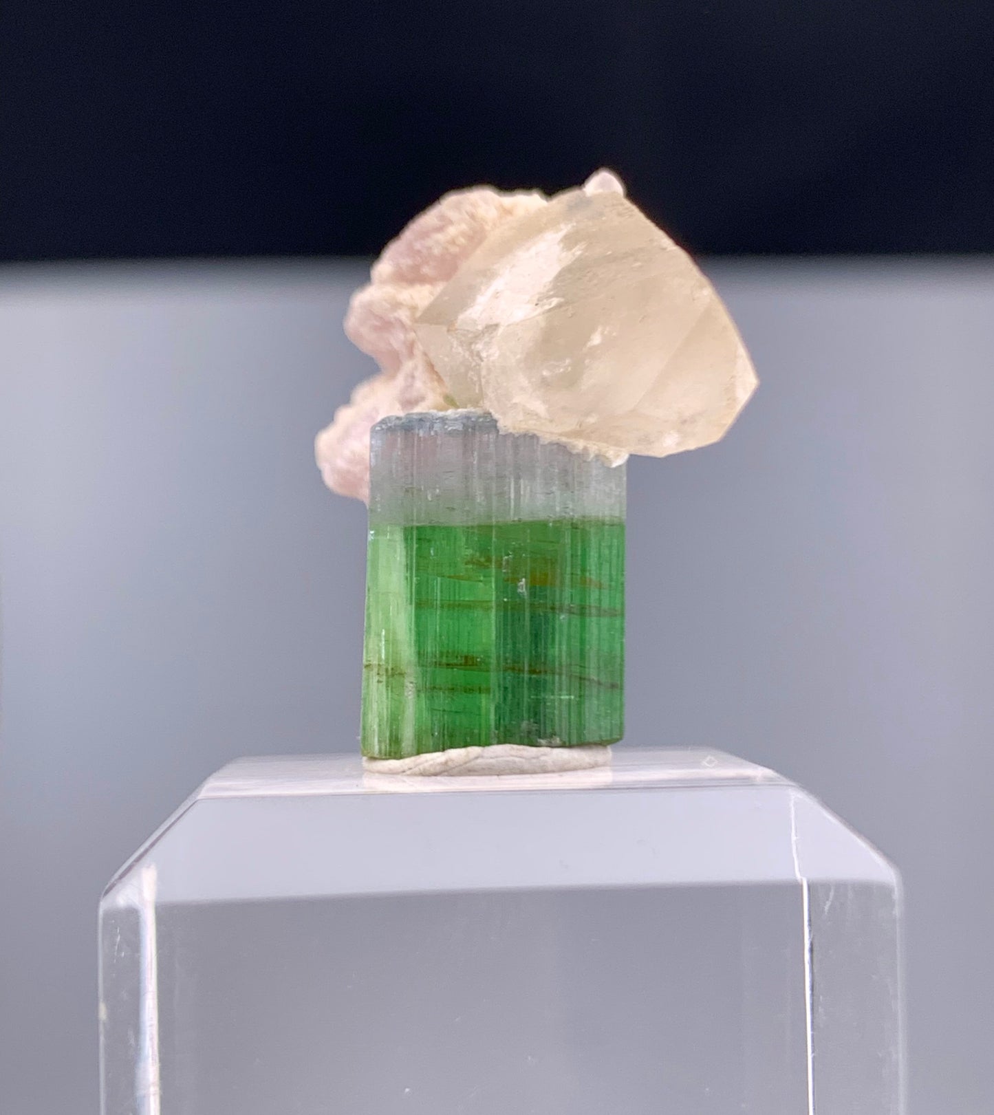 Bi-color Tourmaline Crystal With Quartz And Leapodolite from Afghanistan – 25.80 Carats