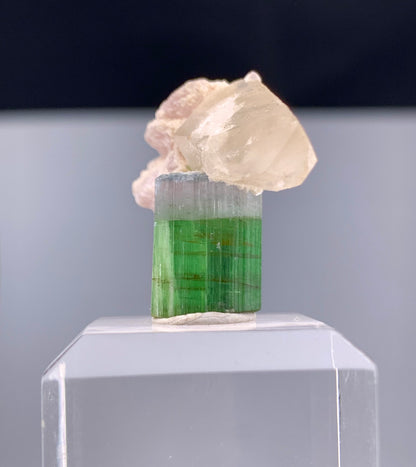 Bi-color Tourmaline Crystal With Quartz And Leapodolite from Afghanistan – 25.80 Carats