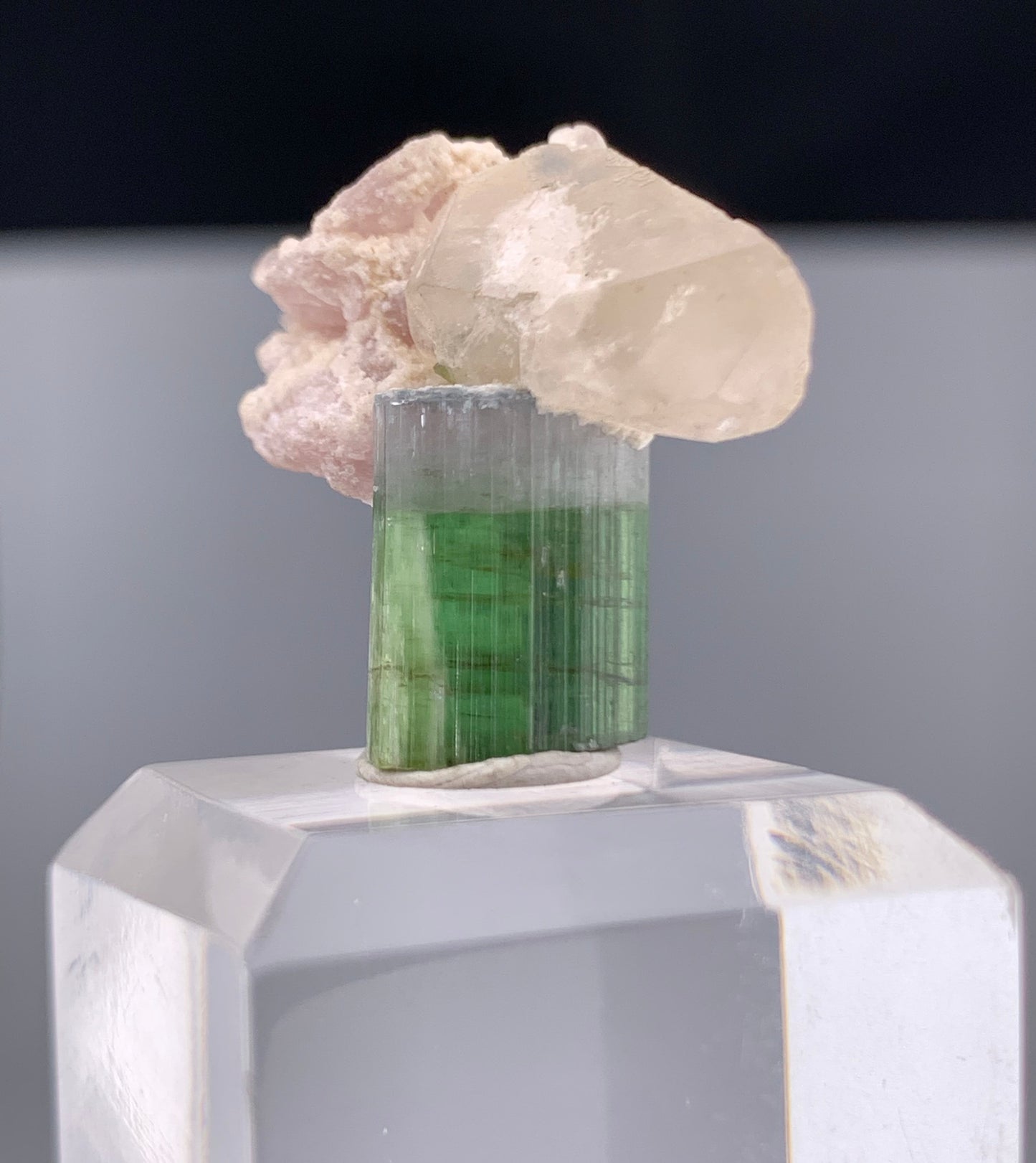 Bi-color Tourmaline Crystal With Quartz And Leapodolite from Afghanistan – 25.80 Carats