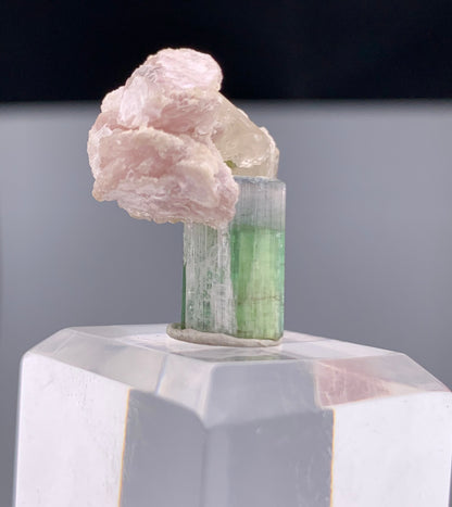 Bi-color Tourmaline Crystal With Quartz And Leapodolite from Afghanistan – 25.80 Carats