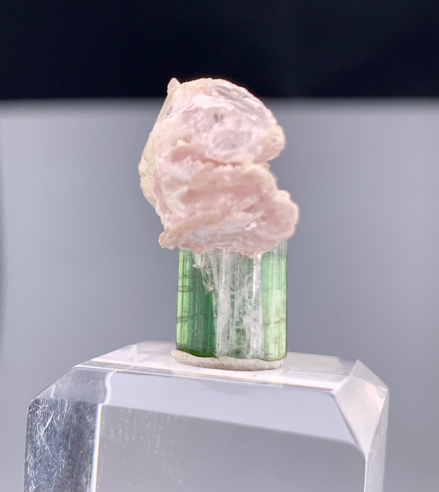 Bi-color Tourmaline Crystal With Quartz And Leapodolite from Afghanistan – 25.80 Carats