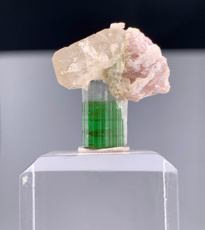 Bi-color Tourmaline Crystal With Quartz And Leapodolite from Afghanistan – 25.80 Carats