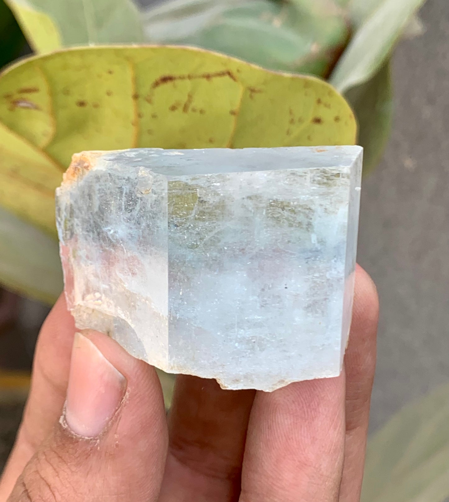 Bi-Color AquaMorganite Crystal from Pakistan - 53 Grams