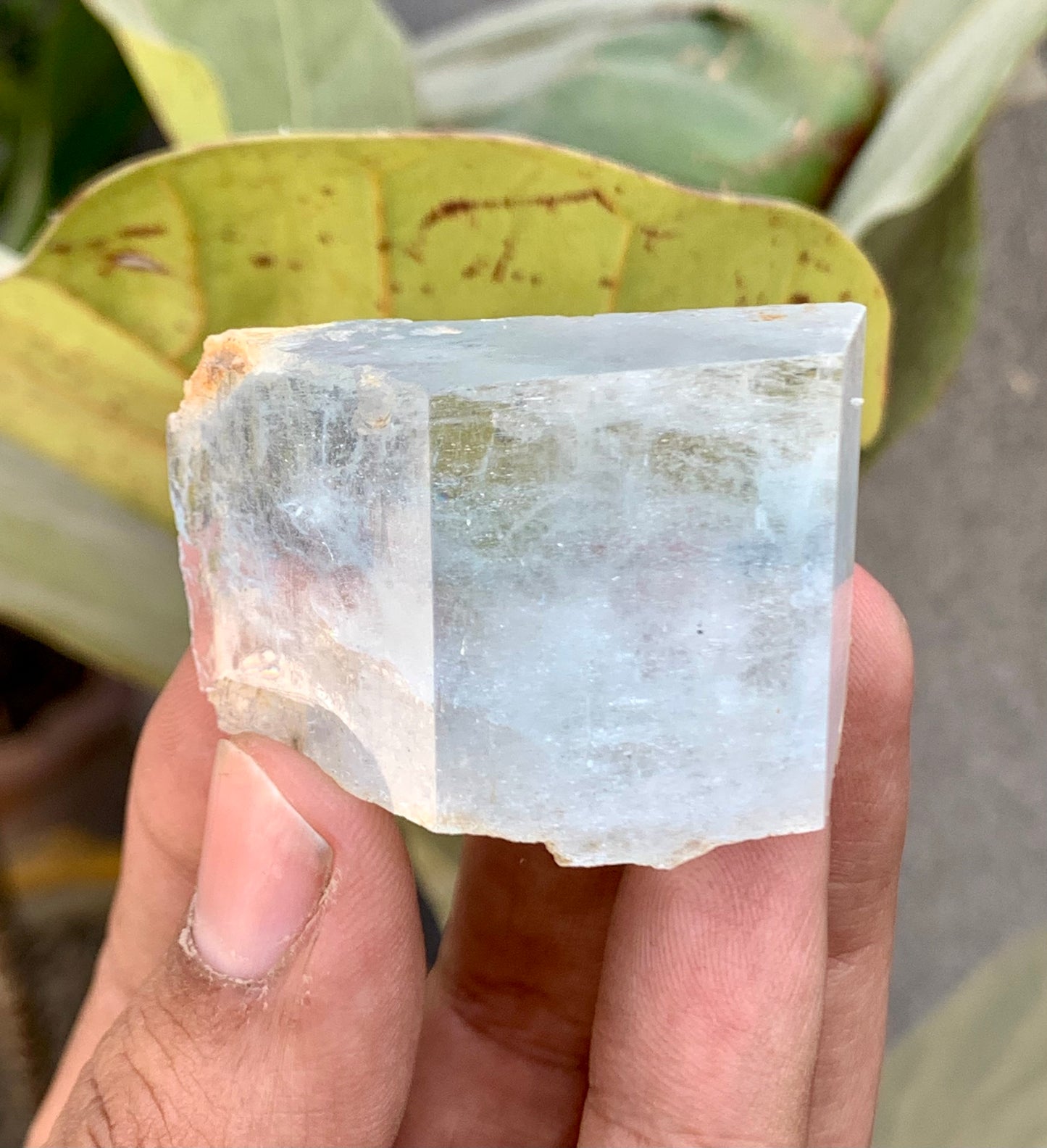 Bi-Color AquaMorganite Crystal from Pakistan - 53 Grams