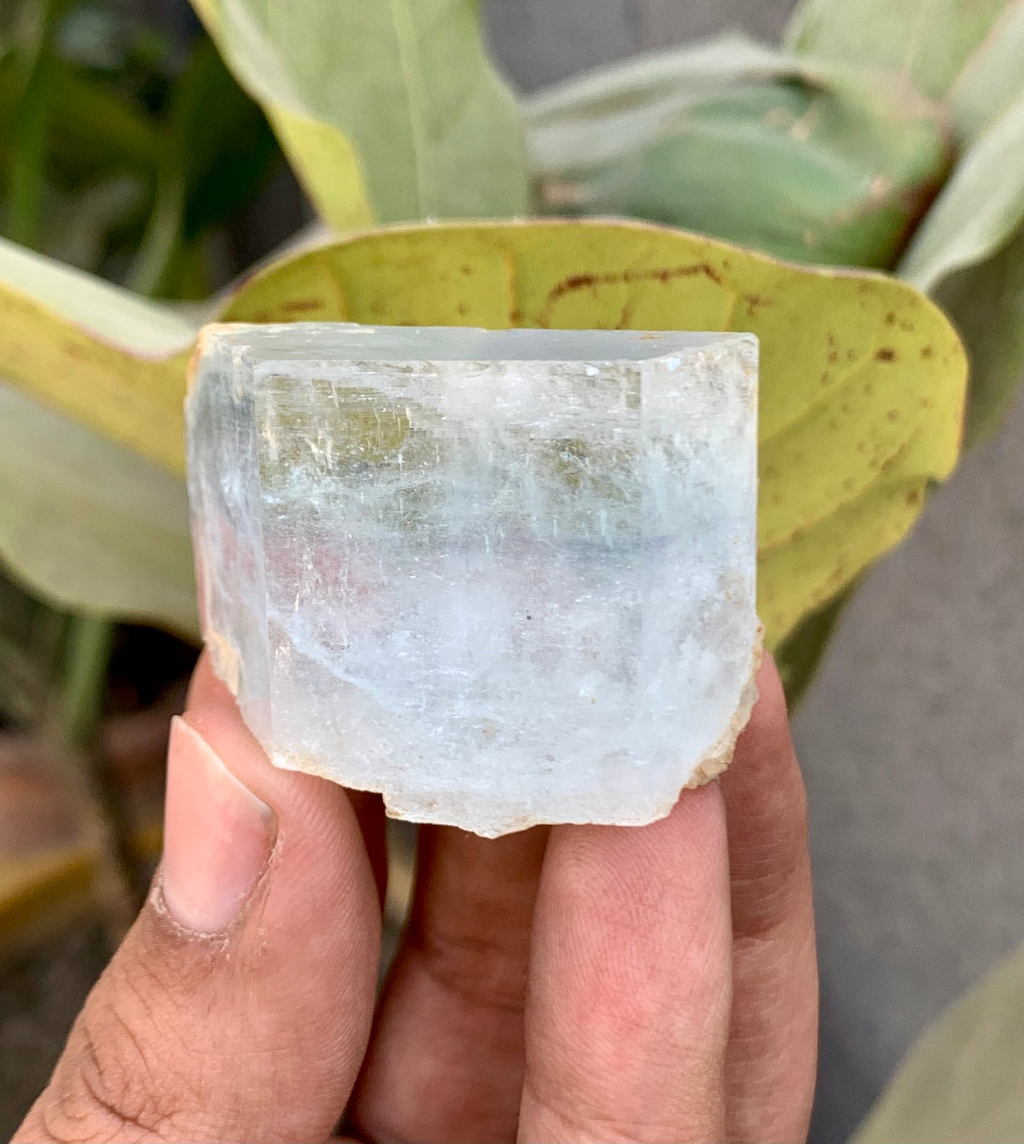 Bi-Color AquaMorganite Crystal from Pakistan - 53 Grams