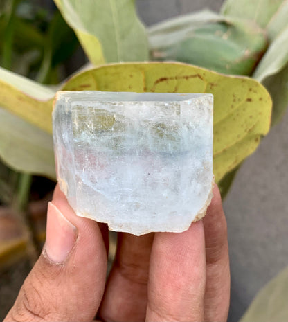 Bi-Color AquaMorganite Crystal from Pakistan - 53 Grams