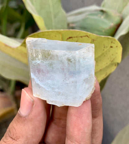 Bi-Color AquaMorganite Crystal from Pakistan - 53 Grams