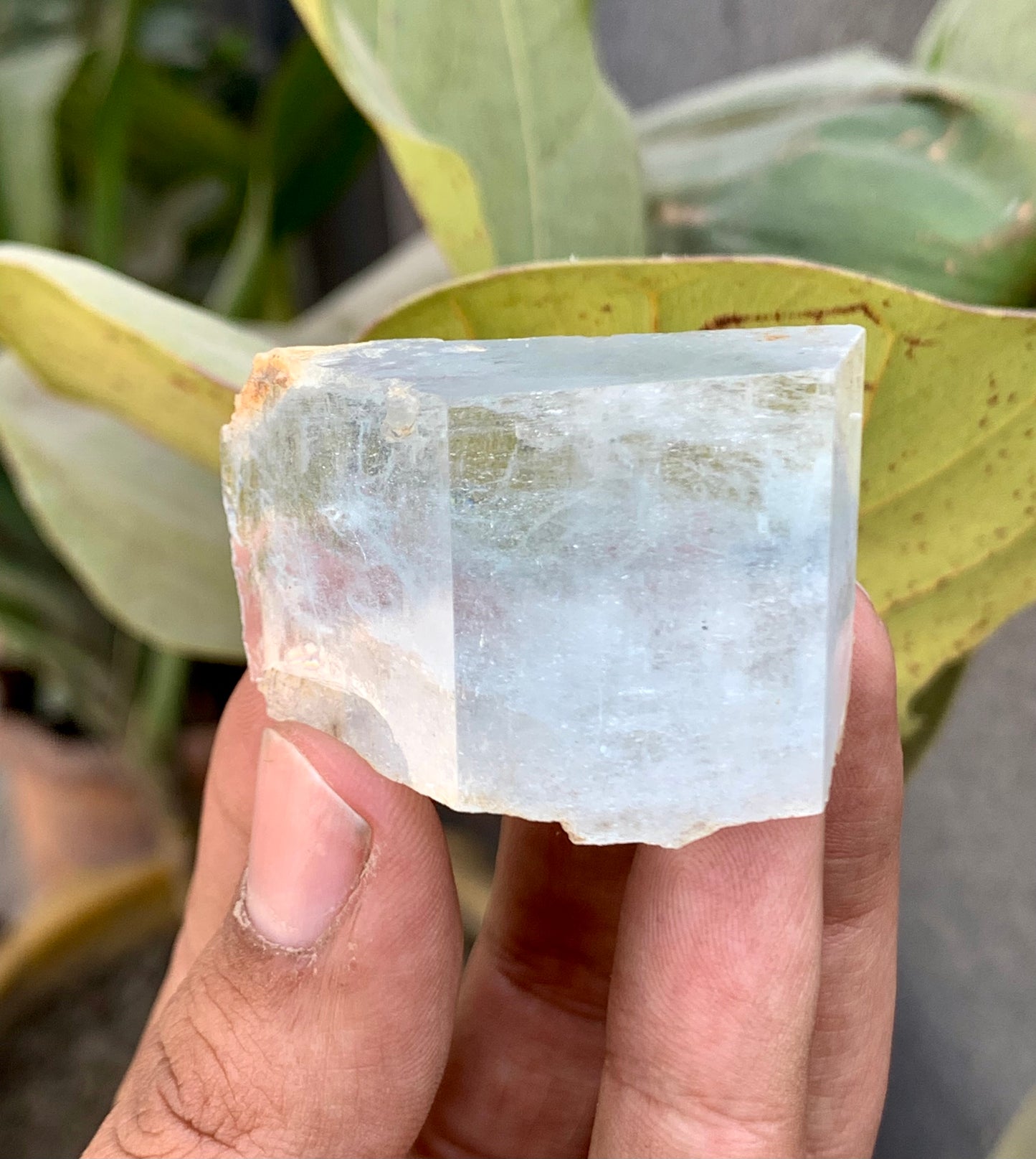 Bi-Color AquaMorganite Crystal from Pakistan - 53 Grams