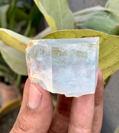 Bi-Color AquaMorganite Crystal from Pakistan - 53 Grams