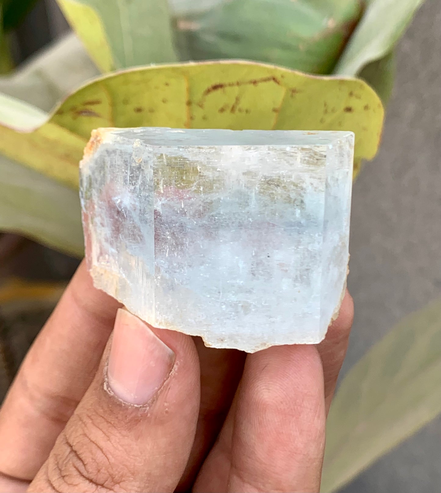 Bi-Color AquaMorganite Crystal from Pakistan - 53 Grams