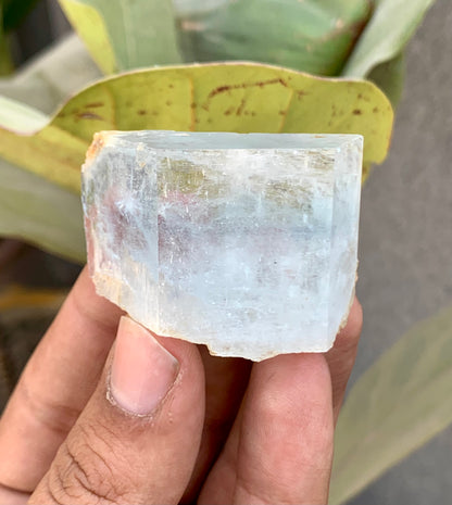Bi-Color AquaMorganite Crystal from Pakistan - 53 Grams