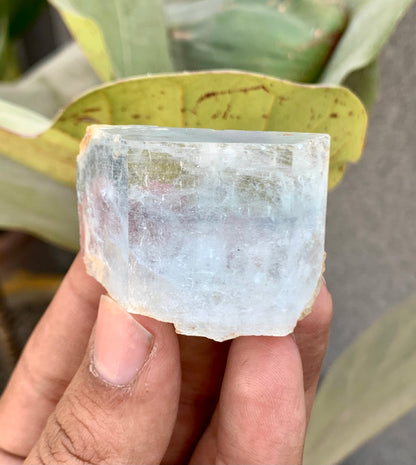 Bi-Color AquaMorganite Crystal from Pakistan - 53 Grams
