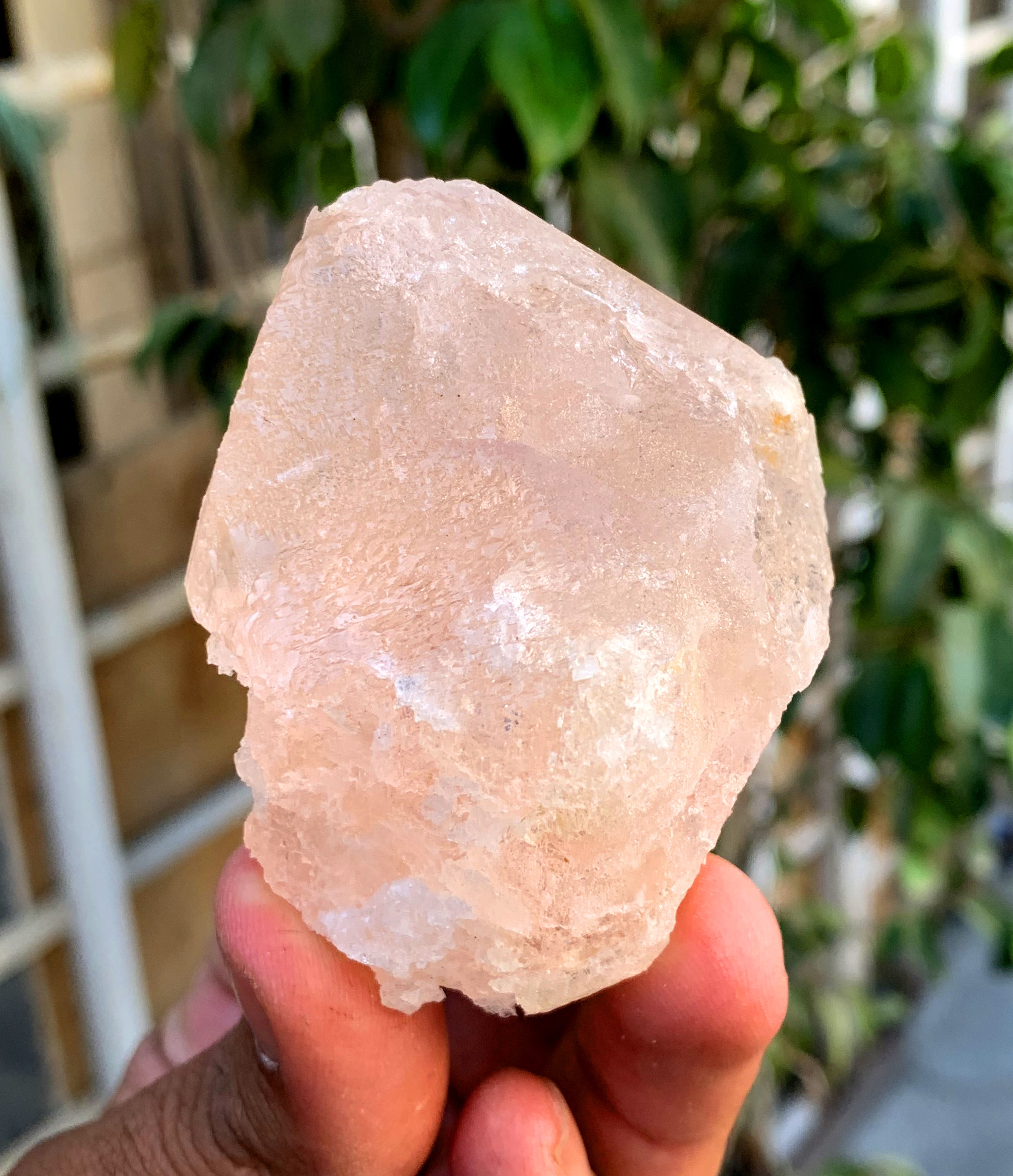 Natural Pink Morganite with White Albite from Afghanistan - 244 grams