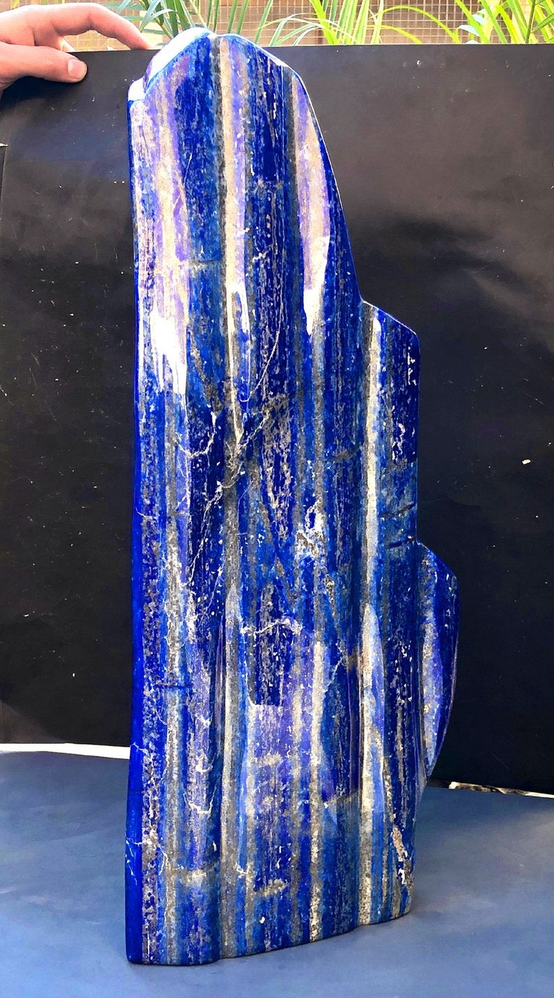 Lapis lazuli 490mm freeform tumble top view
Natural lapis lazuli lazurite pyrite calcite composition