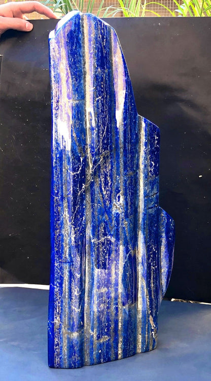 Lapis lazuli 490mm freeform tumble top view
Natural lapis lazuli lazurite pyrite calcite composition