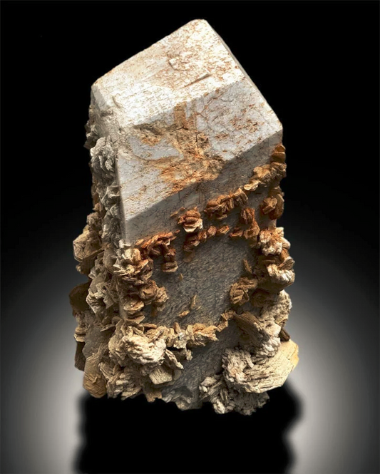 Topaz crystals with microlite on microcline feldspar specimen
Large 16kg topaz combo specimen from Skardu, Pakistan