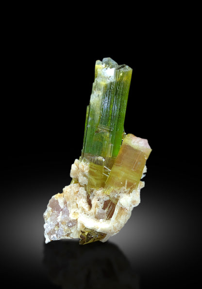 Lepidolite mica matrix beside tourmaline crystal
Collector grade watermelon tourmaline from Afghanistan