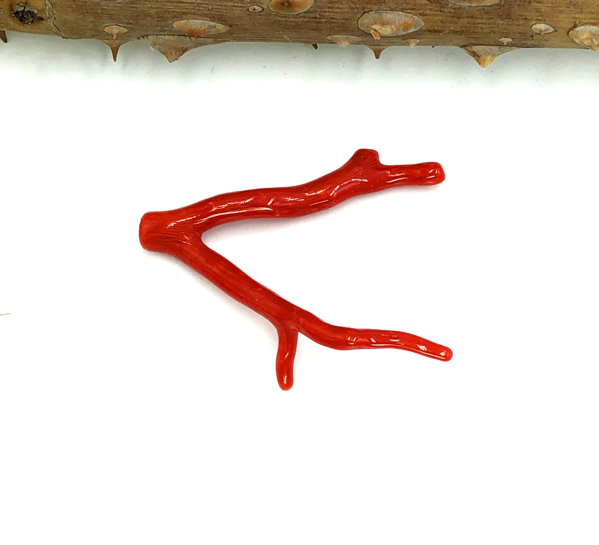 Mediterranean red coral collector piece natural form
Red coral branch showing organic tree silhouette