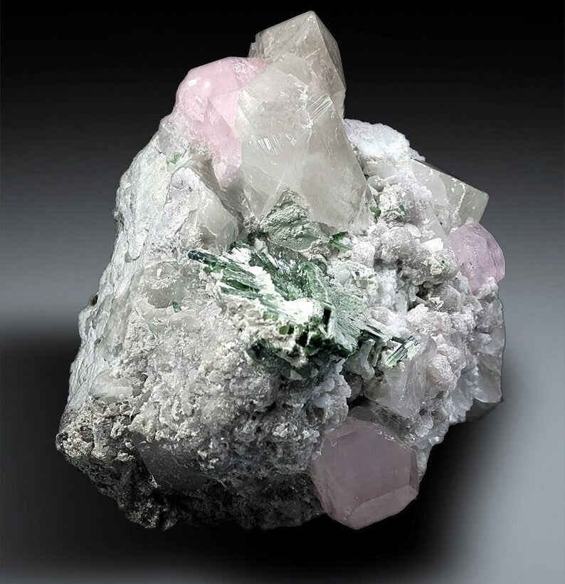 Selected Variant Image