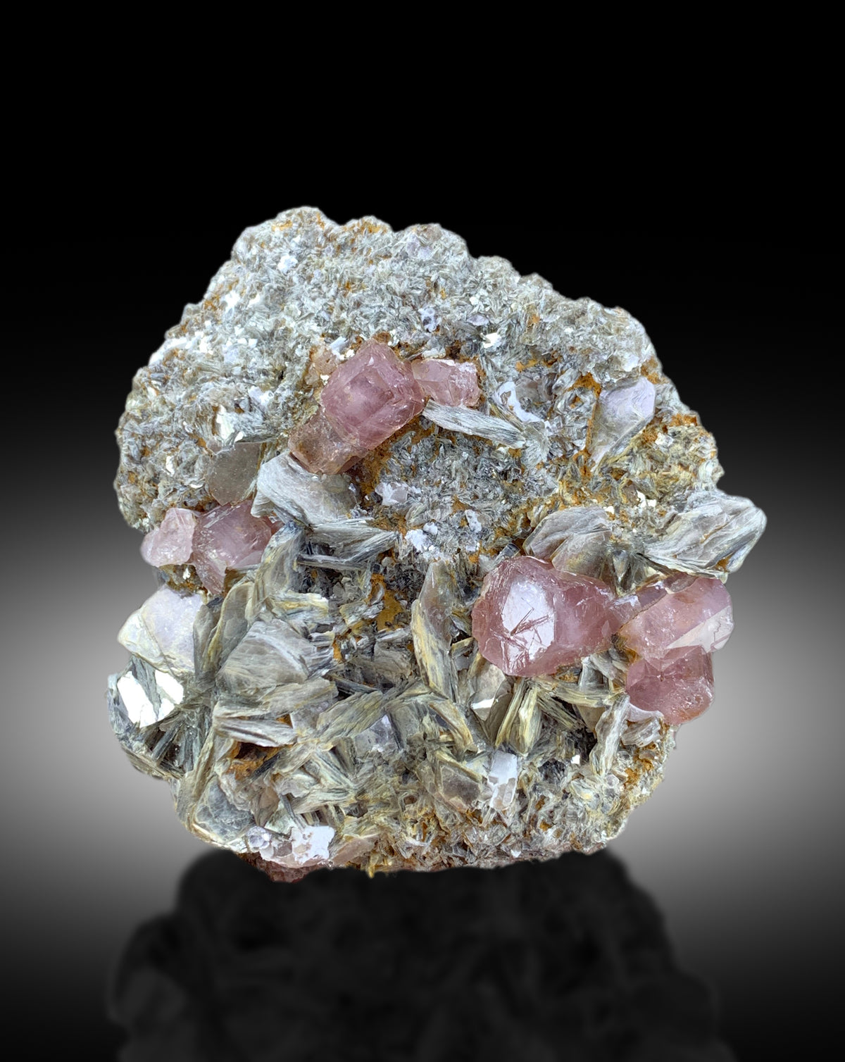 Natural pink apatite specimen, display angle
Apatite with mica, front view
Pink apatite crystal specimen, full view
Natural apatite from Skardu, angled view