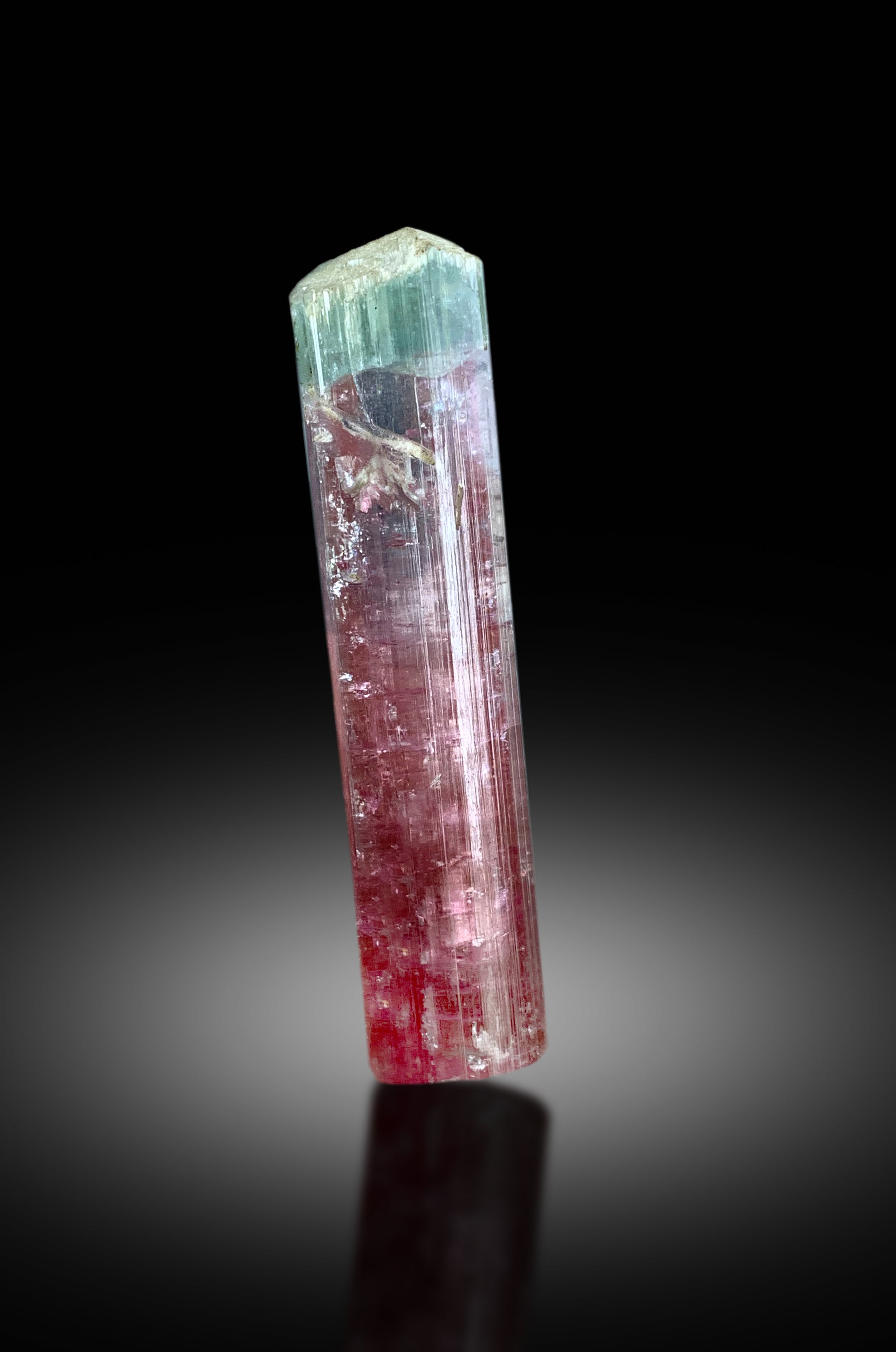 Paprok Afghanistan Tourmaline specimen
Natural bicolor Tourmaline crystal
Multicolor Elbaite Tourmaline crystal
Collector grade Tourmaline specimen
Terminated Tourmaline crystal from Afghanistan