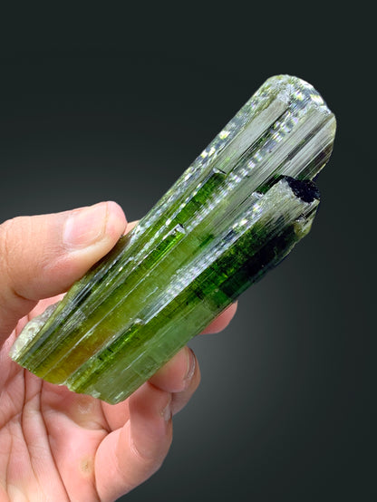 Natural elbaite tourmaline crystal from Afghanistan
Green tourmaline crystal, termination point detail