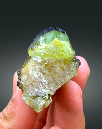 Natural green tourmaline crystal, full length view
Tourmaline crystal with stepwise growth pattern