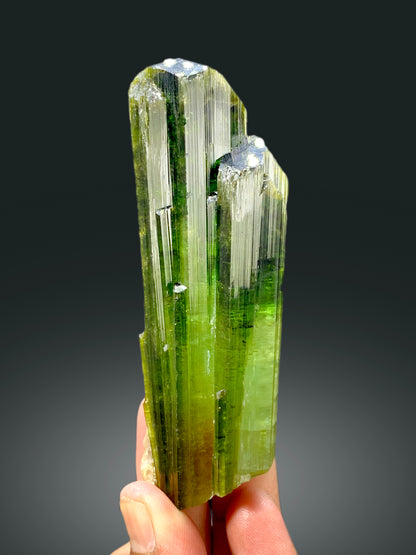 Natural green tourmaline crystal with stepwise terminations
Terminated green tourmaline crystal from Afghanistan, 159 grams