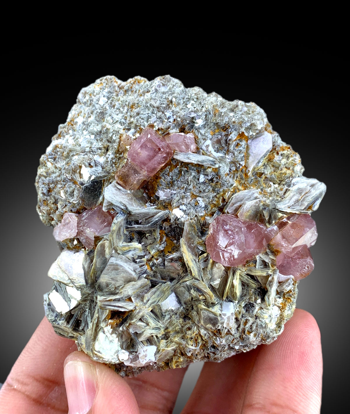 Terminated pink apatite crystal, close-up
Self standing apatite specimen, full view
Natural pink apatite showing excellent luster