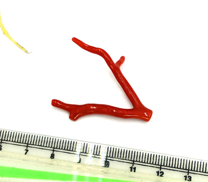 Natural red coral tree shape jewelry making piece
Mediterranean red coral branch showing natural color