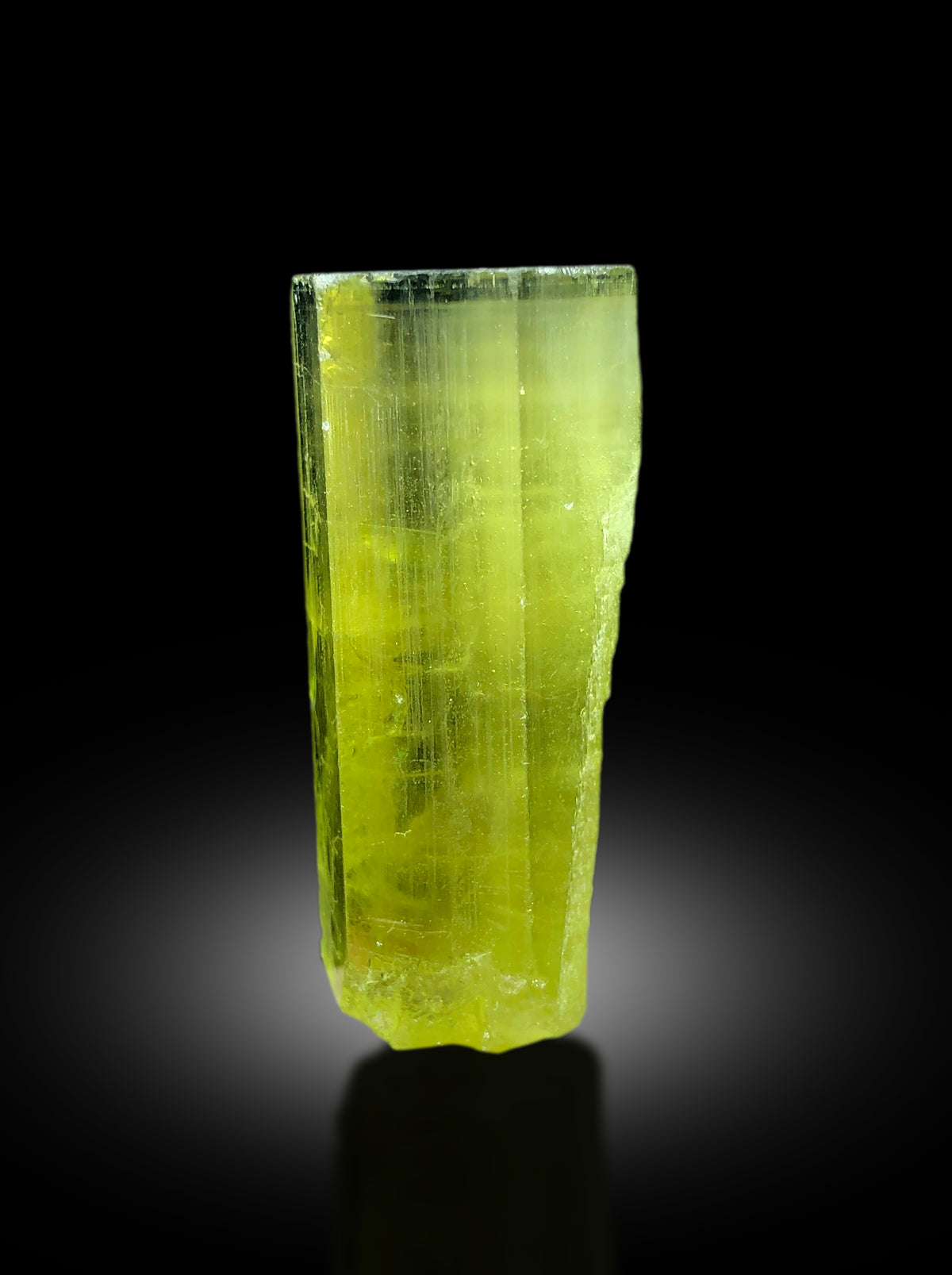 Natural terminated heliodor, damage free specimen
Yellow heliodor var beryl crystal, display angle
Natural heliodor mineral specimen, full crystal view