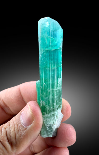 Neon blue tourmaline crystal, angled color view
Natural terminated tourmaline, fine mineral specimen view