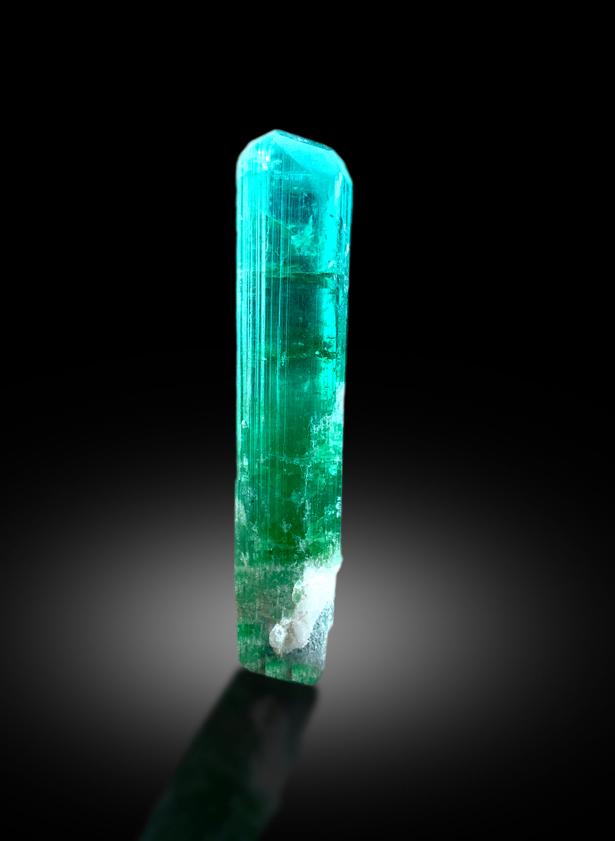 Natural tourmaline specimen, full length display
Neon blue tourmaline crystal, angled color view
Natural terminated tourmaline, fine mineral specimen view