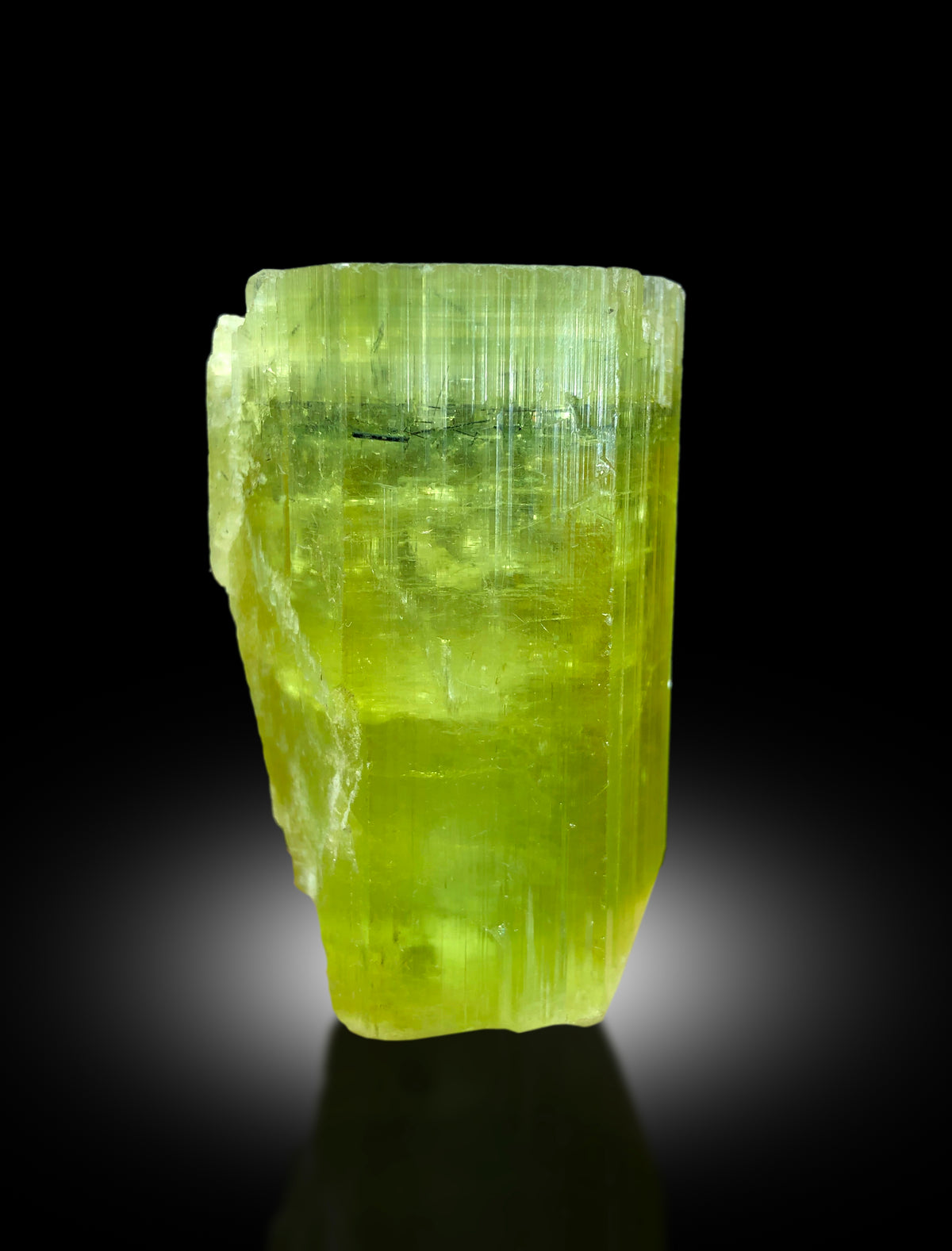 Natural untreated heliodor crystal specimen
Heliodor crystal dimensions 51 by 31 by 29 mm