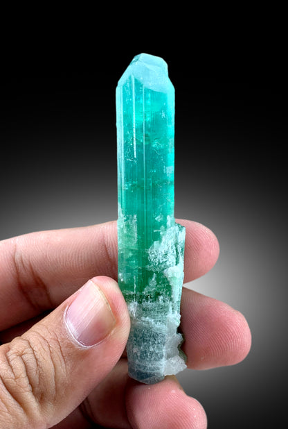 Neon blue tourmaline crystal, angled color view
Natural terminated tourmaline, fine mineral specimen view