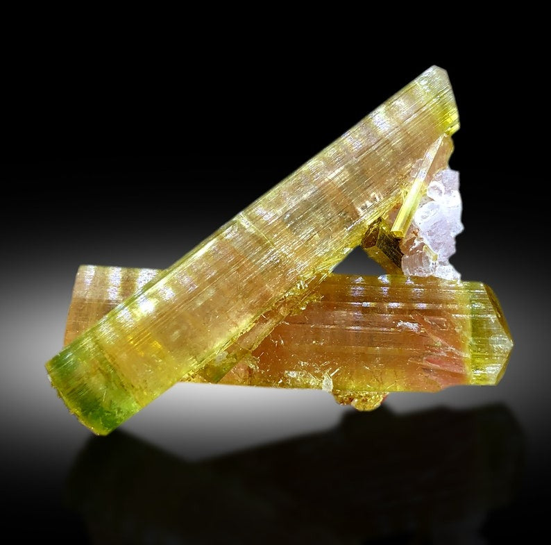 Paprok watermelon tourmaline on lepidolite matrix
Twinned elbaite tourmaline crystals natural formation