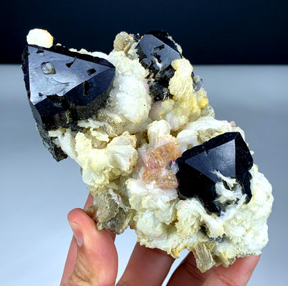 Pink Apatite with Black Tourmaline specimen
Pink Apatite with Tantalite crystal association