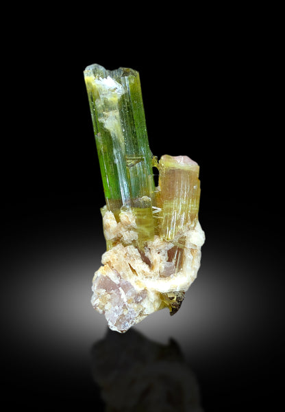 Tourmaline crystal dimensions 51 by 22 by 18 mm
Watermelon tourmaline crystal back angle view
Pink and green color zoning detail on tourmaline